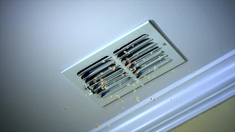 Best HVAC Air Duct Cleaning  in Quincy, FL